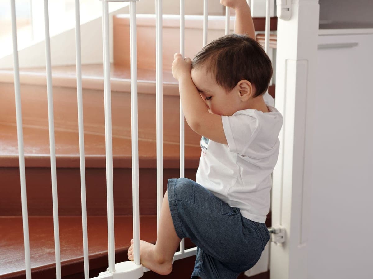 A toddler holding onto a white baby gate closed across the bottom of a wooden staircase — Gate & Guard, childproofing & home safety