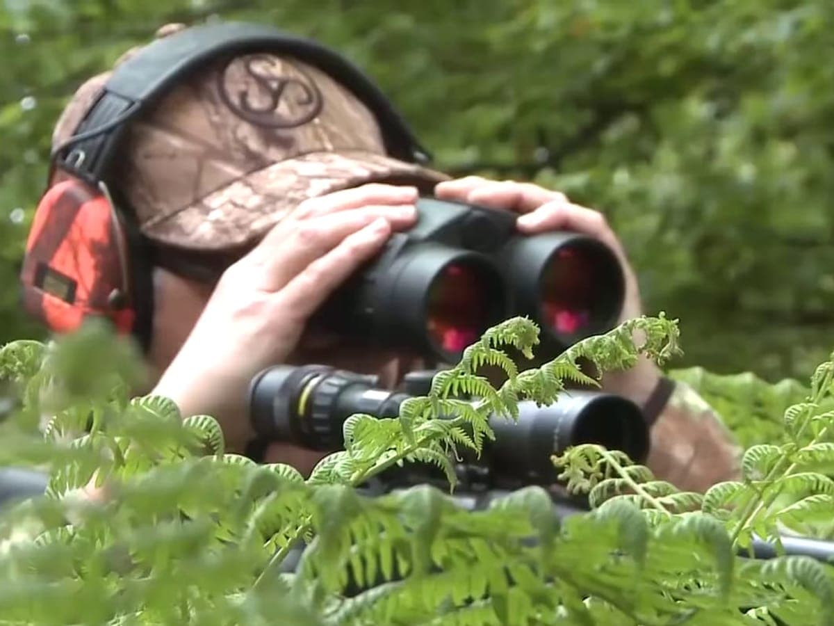 A hunter in a camouflage cap and orange ear protection glassing through binoculars from behind a screen of green ferns, a scoped rifle resting below — Glass & Ridge, hunting optics: binoculars, rangefinders & spotting scopes
