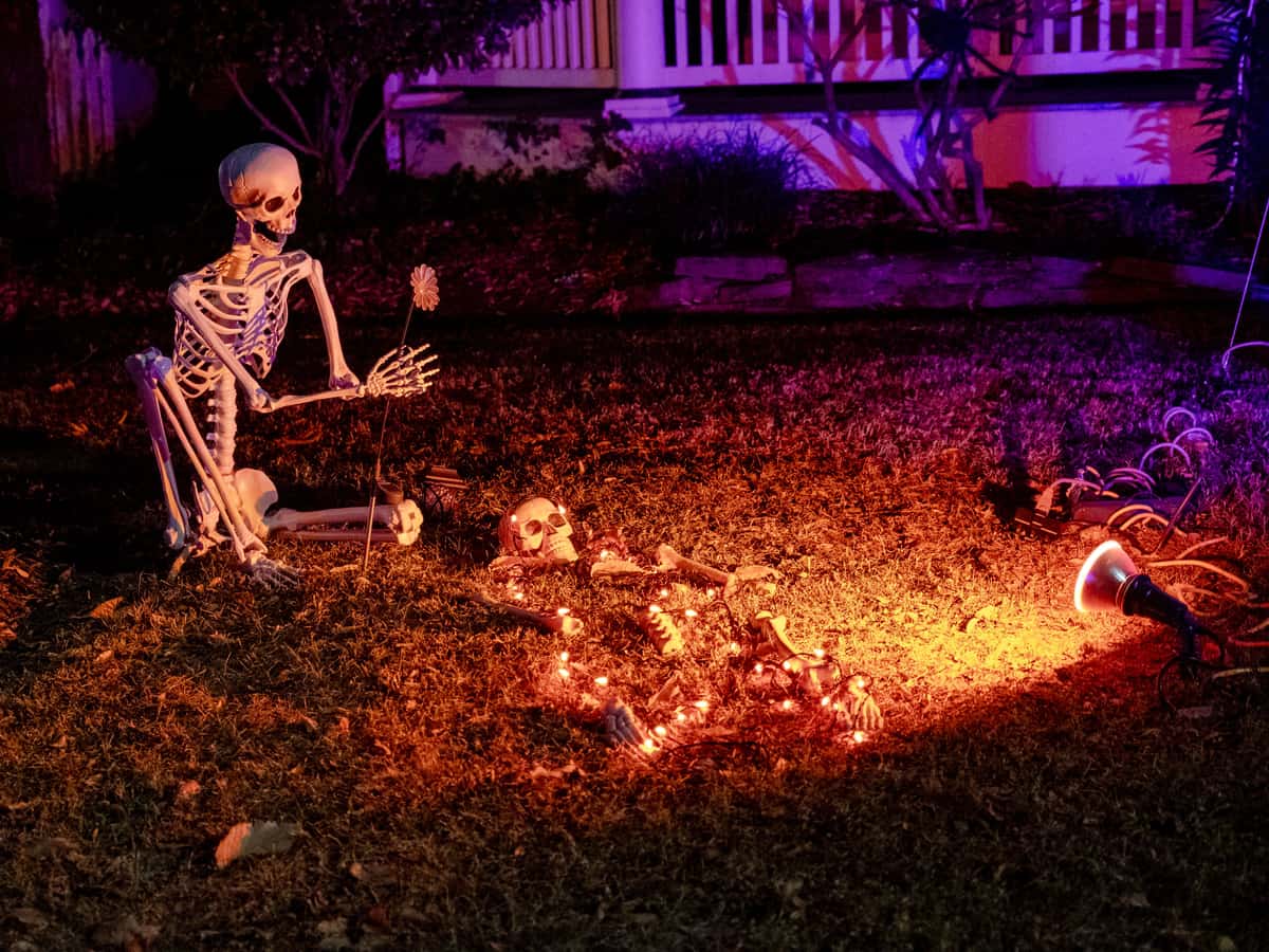 A lit skeleton yard display in a Halloween haunt at night — Haunt & Hedge, halloween decorations & yard haunts