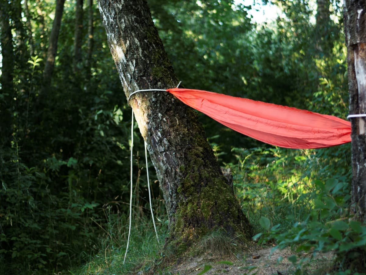 A red hammock strung between trees in a forest — Knot & Nap, hammocks & hammock stands